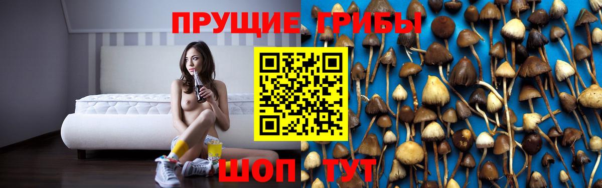 Галлюциногенные грибы Magic Shrooms  Галлюциногенные грибы Psilocybe  Калуга  Вход с VPN 