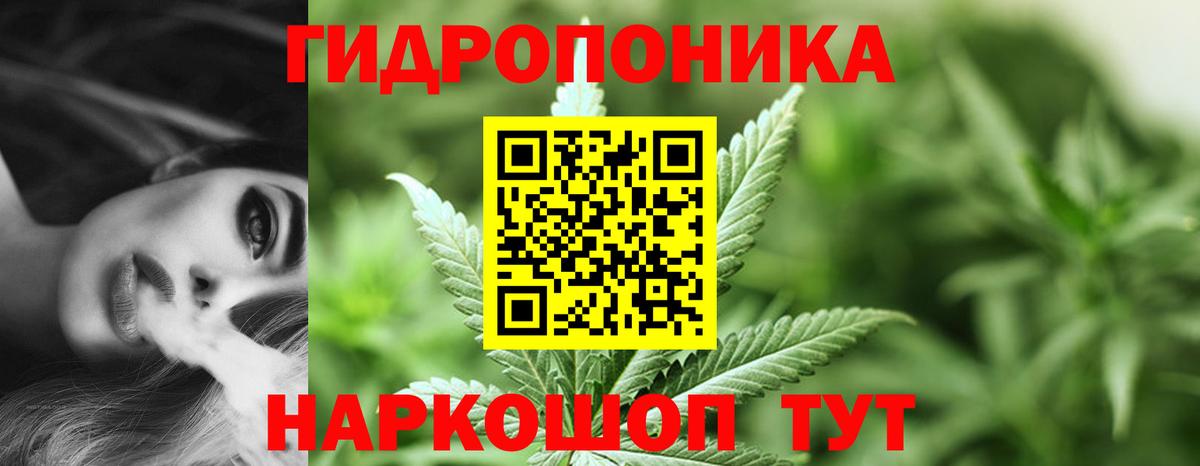 Калуга  Шишки марихуана марихуана  Вход с VPN  Бошки марихуана тримм  Бошки Шишки планчик 